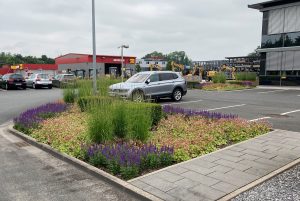 Außenanlagen - Wolf GmbH, Warendorfer Straße 22, 59075 Hamm